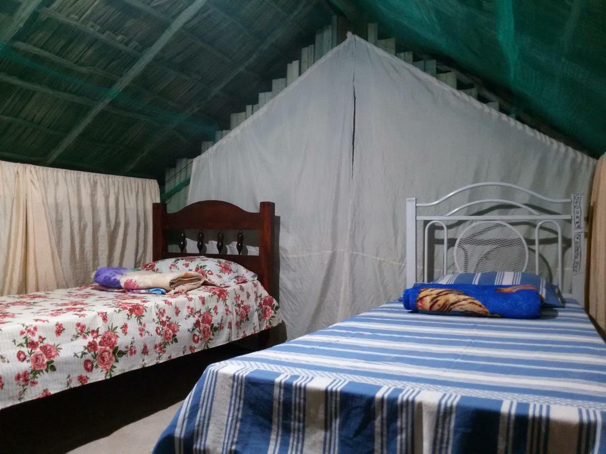 Refugio Raiz Camping Carolina  Eksteriør billede